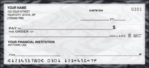 Enlarged view of vellum checks