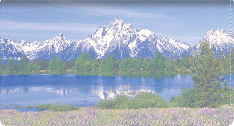 Beautiful America Checkbook Cover