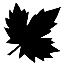 Maple Leaf Symbol