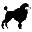 Poodle Symbol