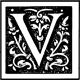 Letter V Symbol