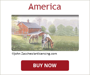 America Checkbook Cover
