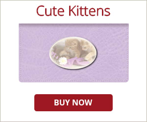 Cute Kittens Checkbook Cover