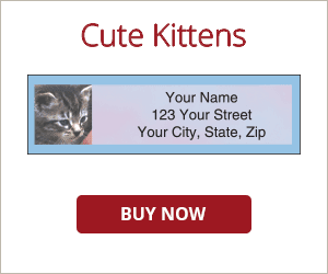 Cute Kittens Address Labels