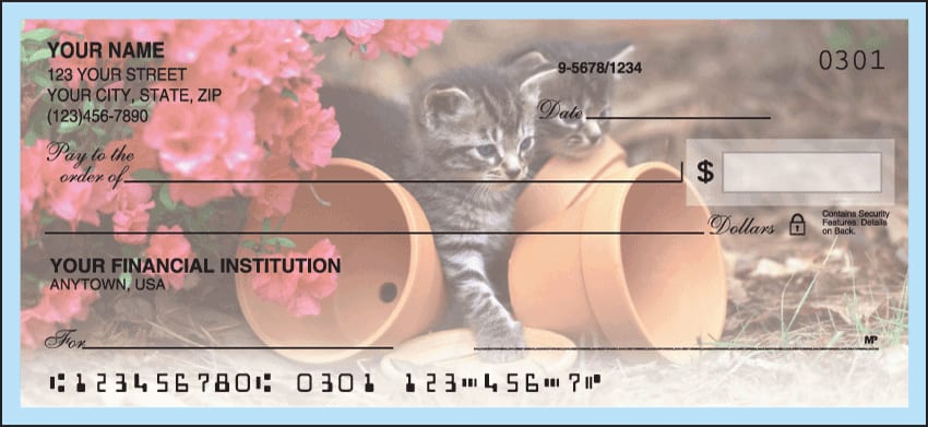 Cute Kittens Duplicate Checks 1 Box