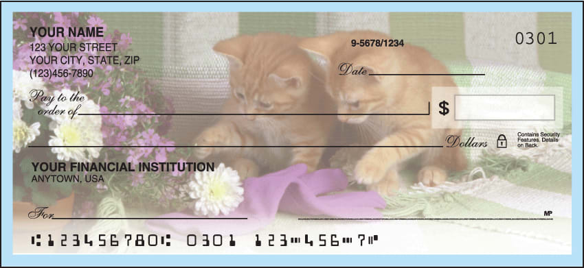 Cute Kittens Checks - 1 box - Duplicates